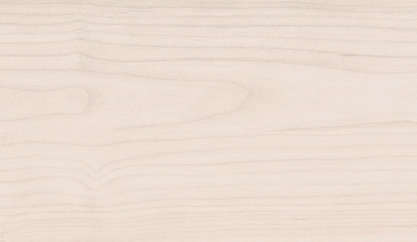 Ahorn samtweiß Ahorn samtweiß