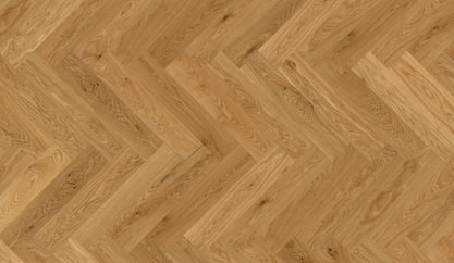 Chêne Zurenborg Chêne Zurenborg