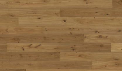 Dąb Montmartre Dąb Montmartre