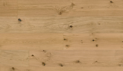 Chêne Caledonian Forest