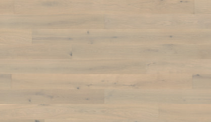 Dąb Park Avenue Dąb Park Avenue