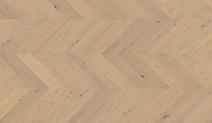 Chêne Het Zand Chêne Het Zand