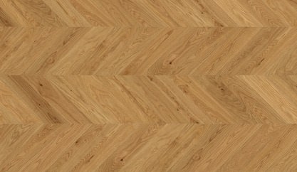 Chêne Jambes Chêne Jambes