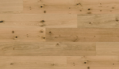 Chêne Caledonian Forest