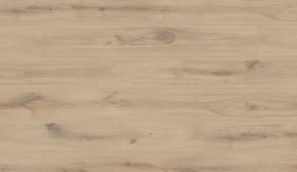 Chêne Zanzibar Chêne Zanzibar