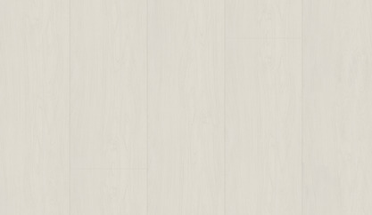 Brzoza szaro-biała Brzoza szaro-biała