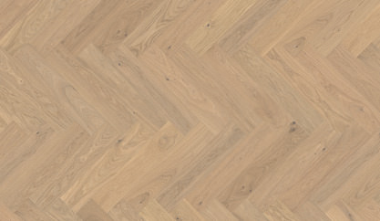 Chêne Kralingen Chêne Kralingen