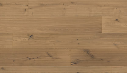 Oak No.21 - Warwick Oak No.21 - Warwick