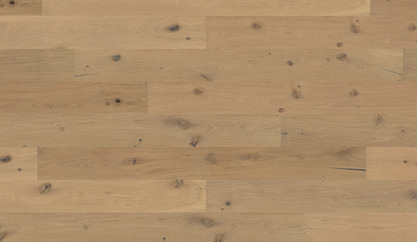 Oak No.31 - Galloway