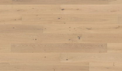 Oak No.25 - Brighton