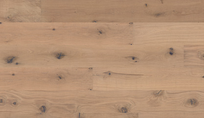 Oak No. 6 - Stirling