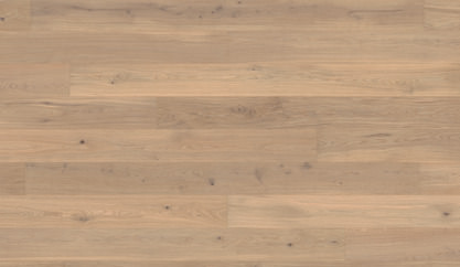 Dąb La Fontaine Dąb La Fontaine