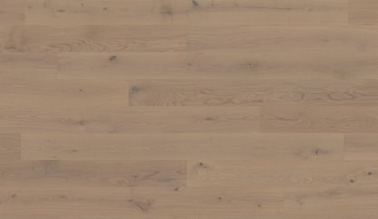 Dąb Blankenese Dąb Blankenese