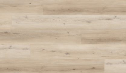 Dąb Tokyo Dąb Tokyo