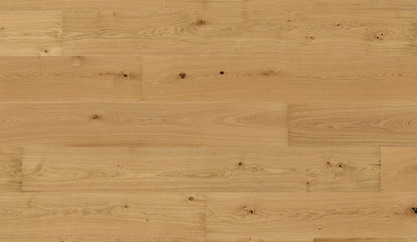 Oak No.33 - Clarence