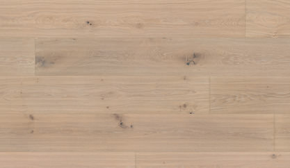 Oak No.18 - Balmoral