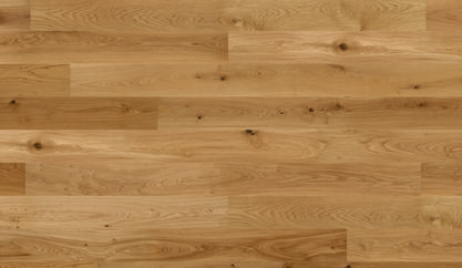 Dąb Portofino Dąb Portofino