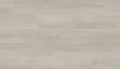 Dąb Stockholm Dąb Stockholm