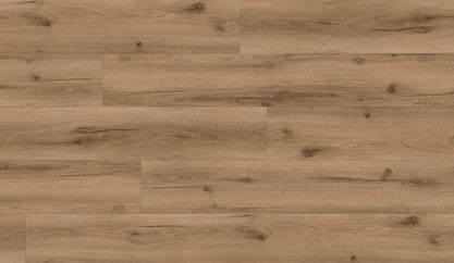 Dąb London Dąb London