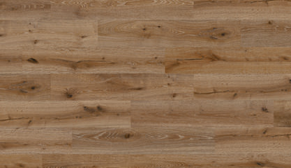 Eiche Lyra Eiche Lyra