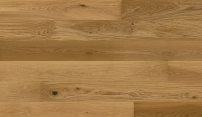 Dąb Nyhavn Dąb Nyhavn