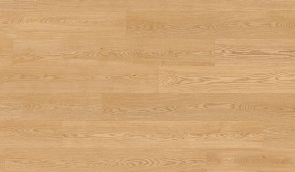 Eiche Artemis Eiche Artemis