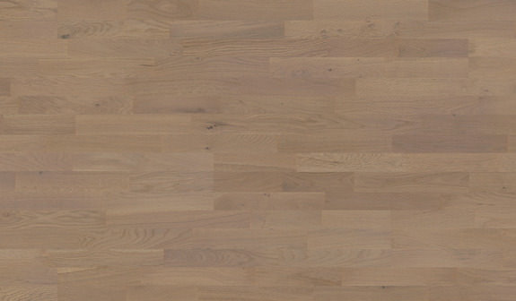 Chêne Kotor Chêne Kotor