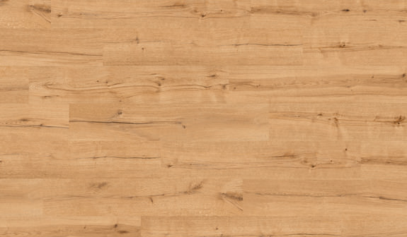 Eiche Kuma Eiche Kuma