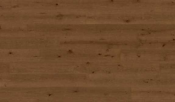 Chêne Antigone Chêne Antigone