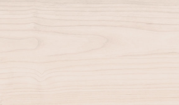 Ahorn samtweiß Ahorn samtweiß