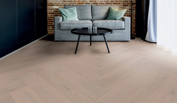 Chêne Borkum Chêne Borkum