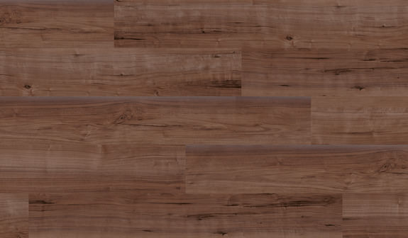 Nogal Abu Dhabi Nogal Abu Dhabi