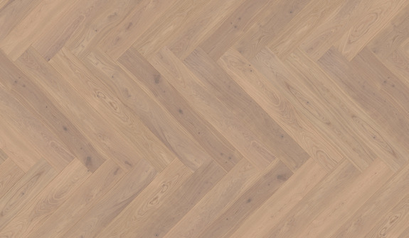 Chêne Helgoland Chêne Helgoland