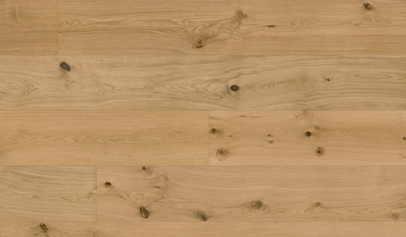 Chêne Caledonian Forest