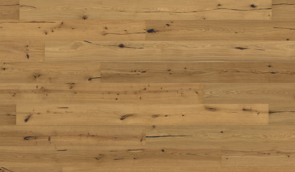 Chêne Capitol Hill Chêne Capitol Hill