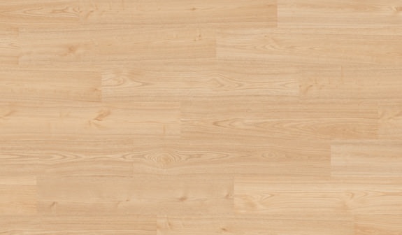 Châtaignier Rana Châtaignier Rana