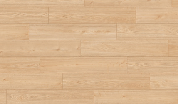 Châtaignier Rana Châtaignier Rana