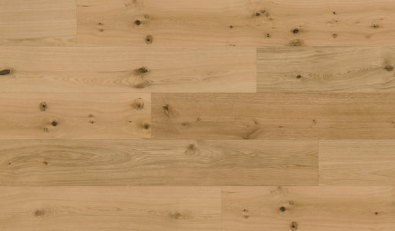 Chêne Caledonian Forest