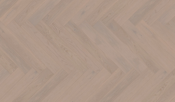 Chêne Borkum Chêne Borkum