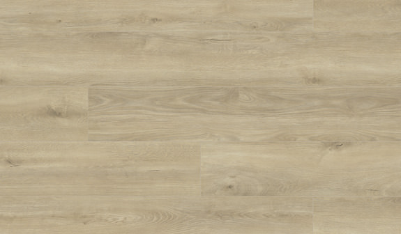 Eiche Corsica Eiche Corsica