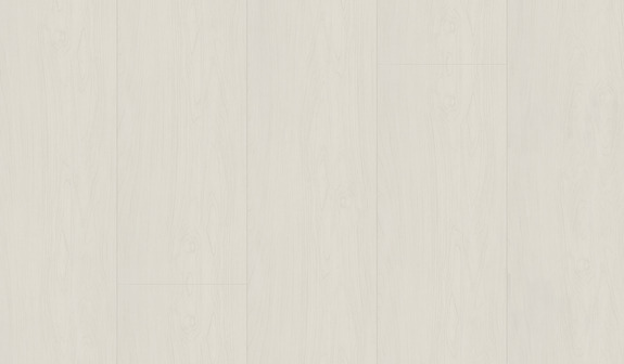 Brzoza szaro-biała Brzoza szaro-biała