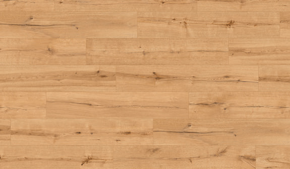 Eiche Kuma Eiche Kuma