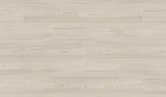 Larch Bornholm Larch Bornholm