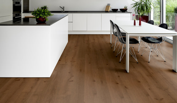 Chêne Antigone Chêne Antigone