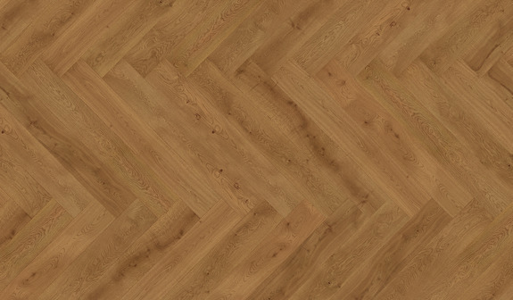 Chêne Fünen Chêne Fünen