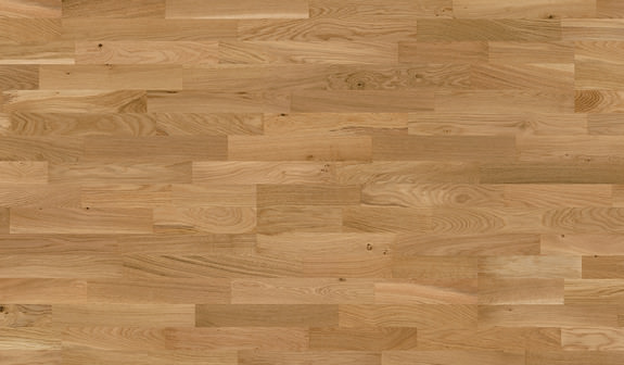 Chêne Campo Santo Chêne Campo Santo