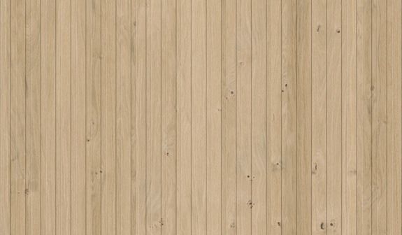 Dąb piaskowy Dąb piaskowy