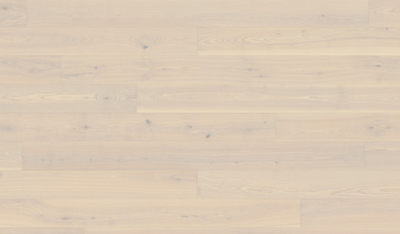 Ash Nordnes Ash Nordnes