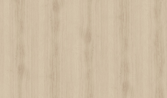 Dąb kremowo-beżowy Dąb kremowo-beżowy