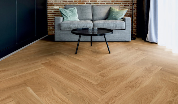 Chêne Juist Chêne Juist